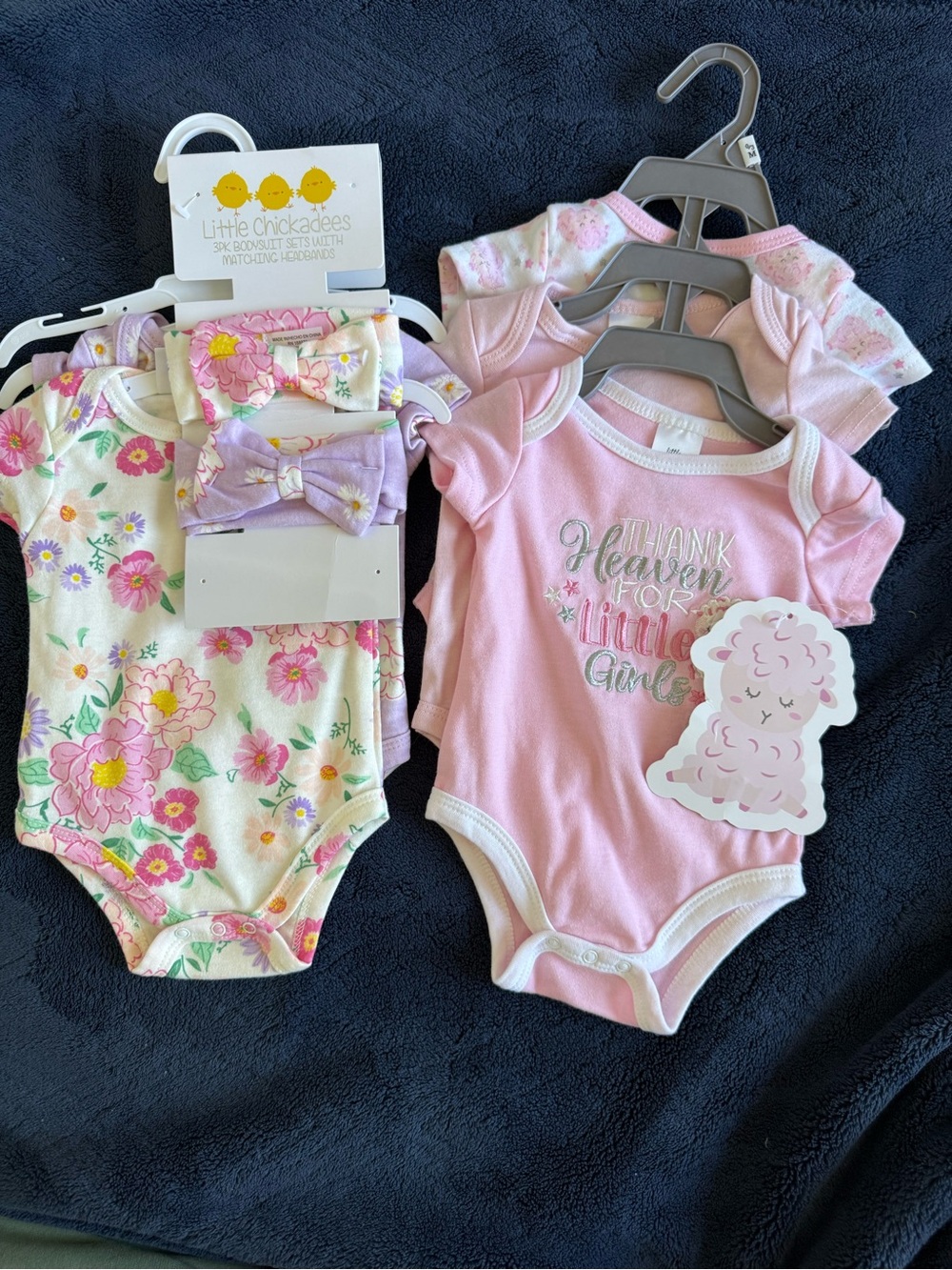 Pink Floral & Solid One-Piece Bodysuit Set for Girls